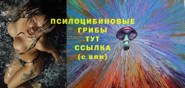 Альфа ПВП Армянск