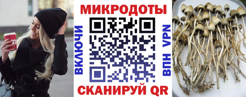 Псилоцибиновые грибы MAGIC MUSHROOMS  Звенигово 